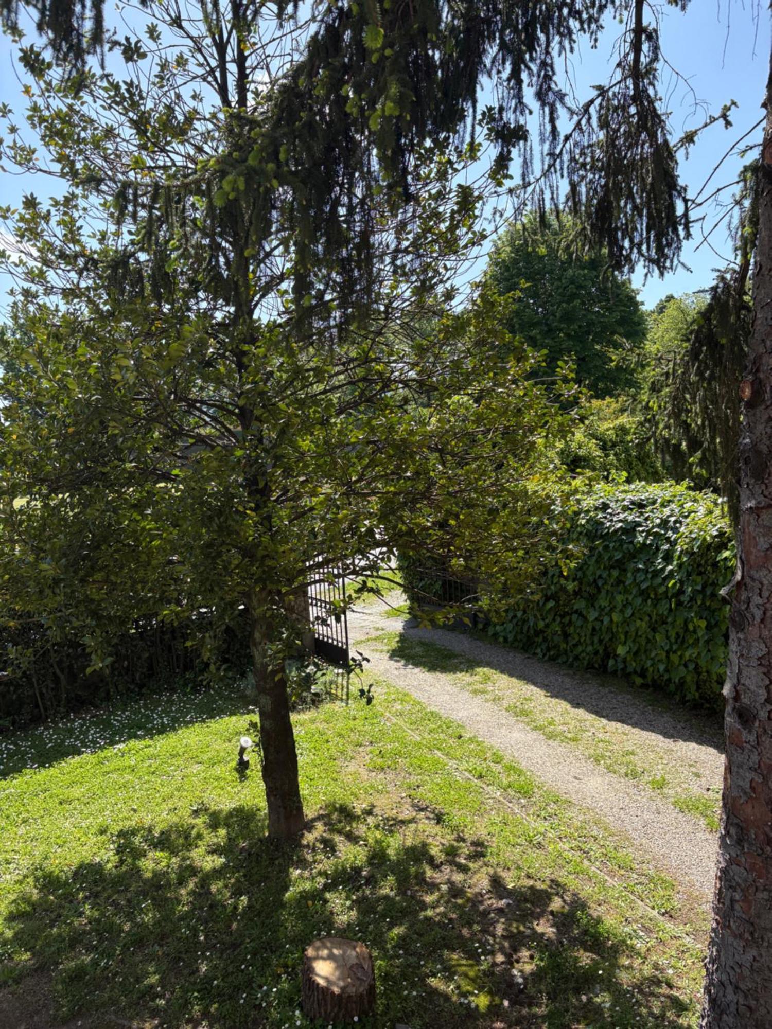 Villa Agnese B&B 루카 외부 사진